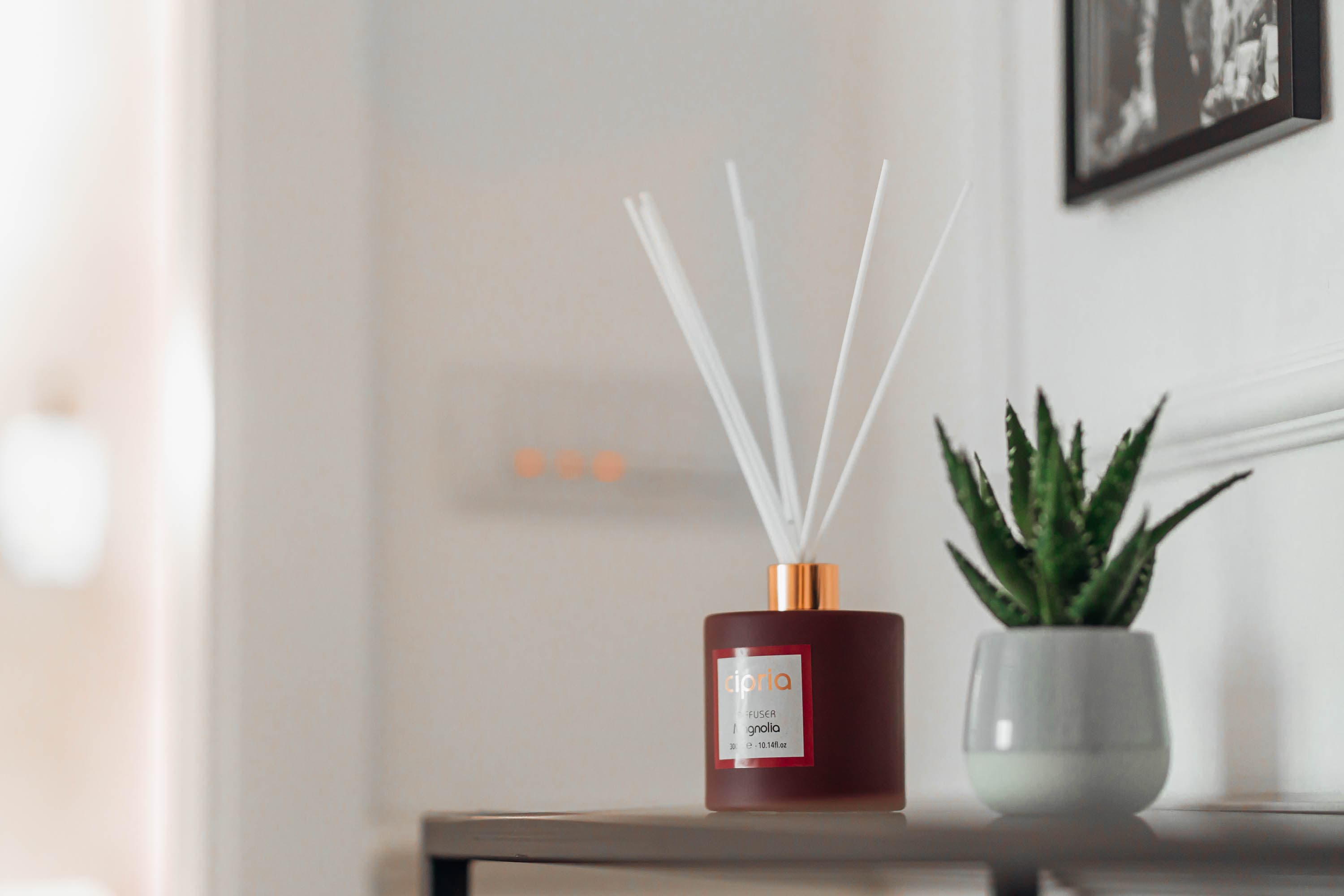 Chic Home